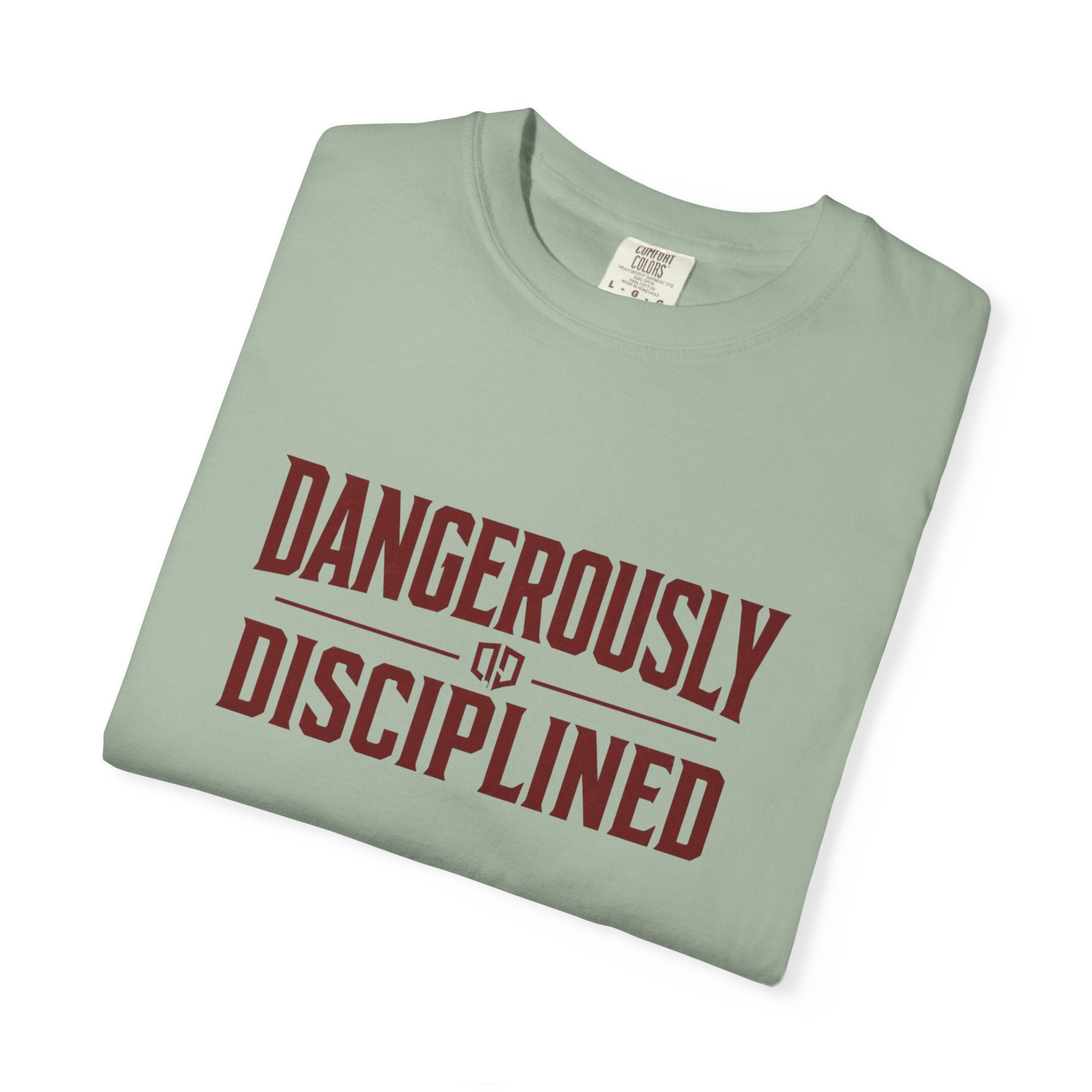 Dude-Shirts ~ Dangerously Disciplined Graphic Tee